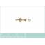 Woman gold plated Souvenir exquis earring 2