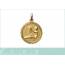 Gold plated medaillon pendant 2