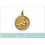 Gold plated medaillon pendant 2