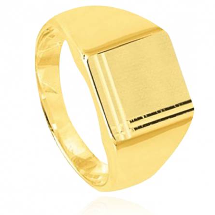 Anel com brasão masculino banhado a ouro Paul amarelo
