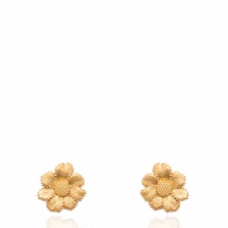 Boucles d'oreilles femme plaqué or Vasieta