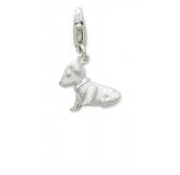 Charm's chiot