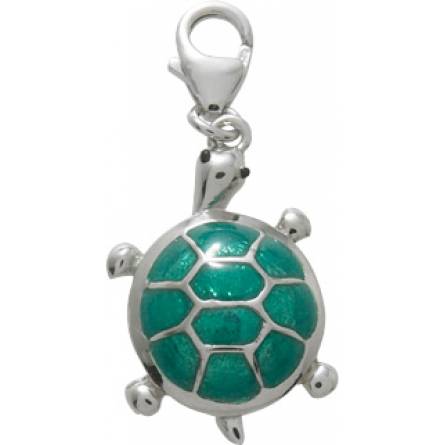 Charm's tortue