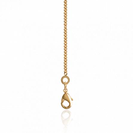 Cordão banhado a ouro restrito