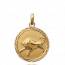 Gold plated medaillon pendant mini