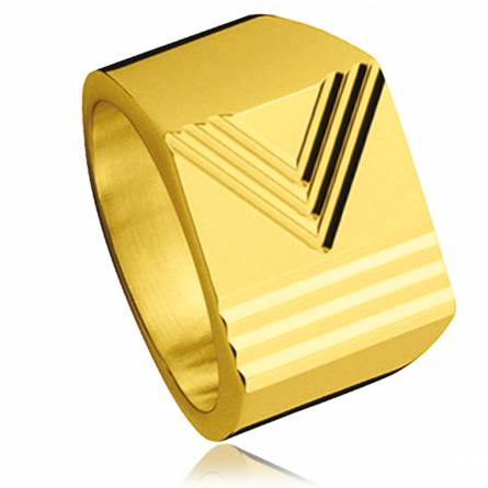 Gold plated Vectorielle ring
