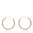 Pendientes mujer bañado en oro Classique 2 cm anillado mini