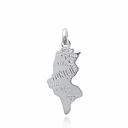 Silver countries pendant