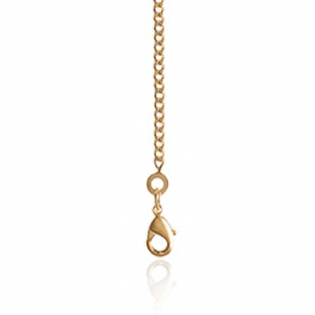 Woman gold plated curb chains