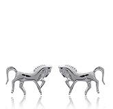 Woman silver Nahar earring