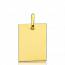 Gold Anastas rectangles pendant mini