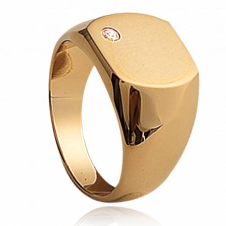 Gold plated Péninsule circular ring
