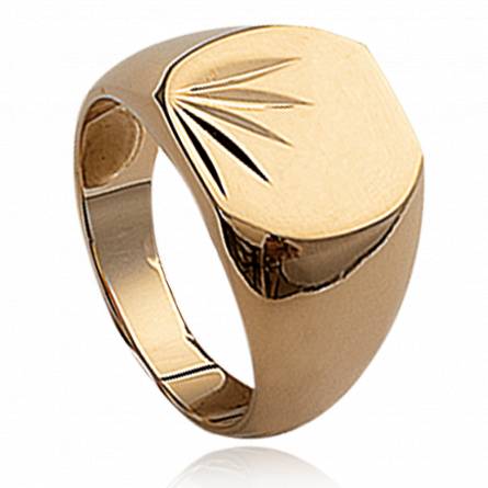 Man gold plated Noblesse ring