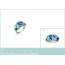 Ringen dames zilver Alcippe blauw 2
