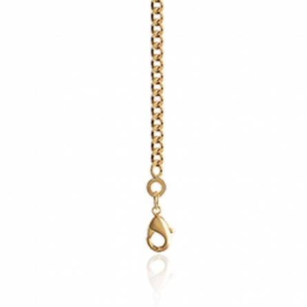 Woman gold plated curb chains